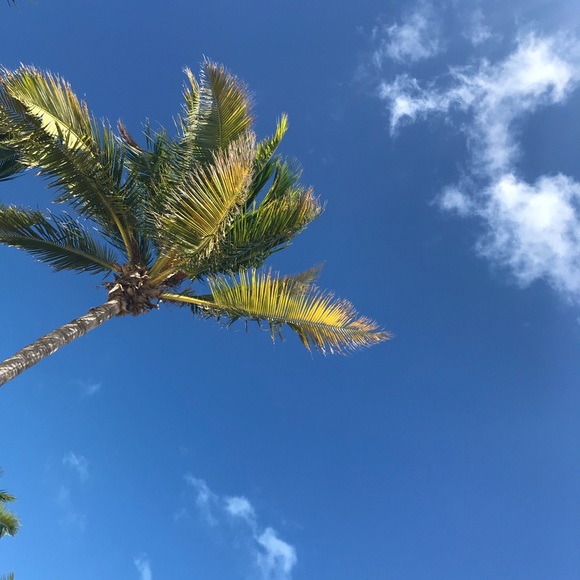 Meet your Posher, Jennifer - Picture 1 of 1